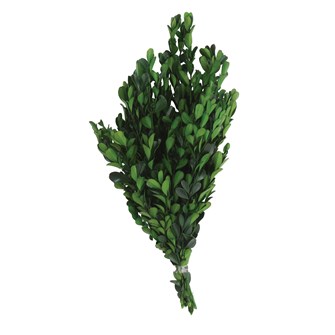 BOXWOOD BUNCH