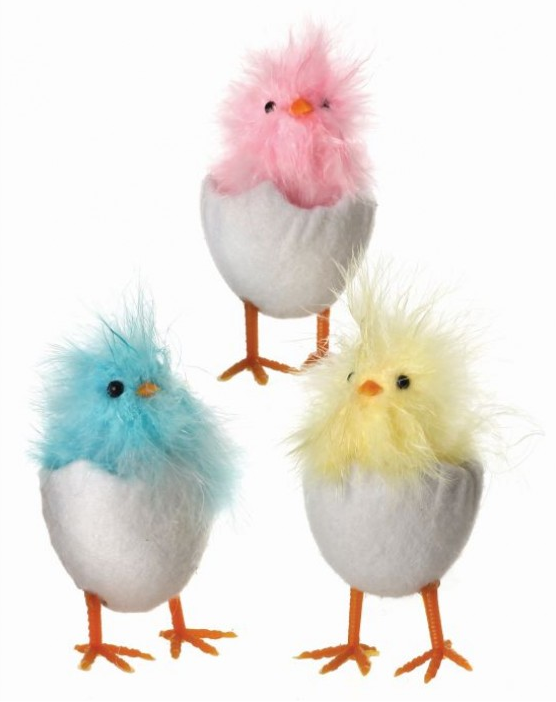 FEATHERED CHICK IN EGG
